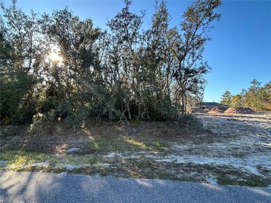 0 Amero Ln unit 13 MFRS5116270, Spring Hill, FL 34609 - photo 3