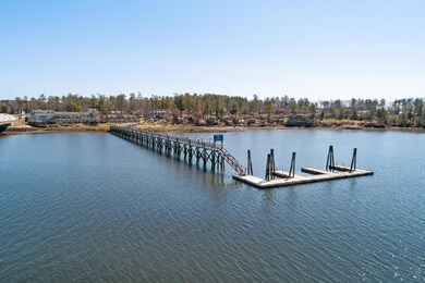 Dock SHVR Aerial(MAPS)