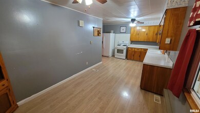 2234 Red Stripe Rd, Odin, IL 62870 - photo 7