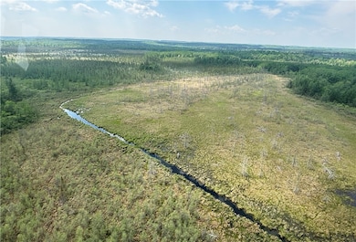 Aerial showing wet land