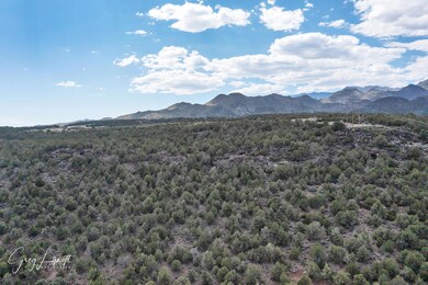 DJI_0110