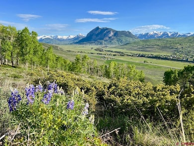 1190 Red Mountain Ranch Rd, Crested Butte, CO 81224 - photo 4