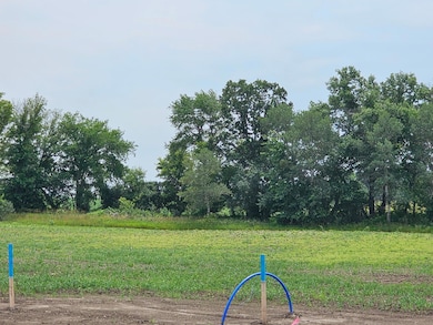 4455 Pagenhart Ln SW, Rochester, MN 55902 - photo 2