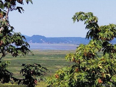 0 88th Ave NW unit 1342340, Stanwood, WA 98292 - photo 3