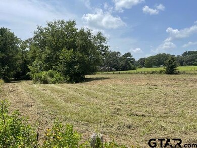 14450 State Highway 64 E, Tyler, TX 75707 - photo 7