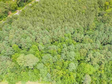 3097 N Carolina 87, Pittsboro, NC 27312 - photo 4