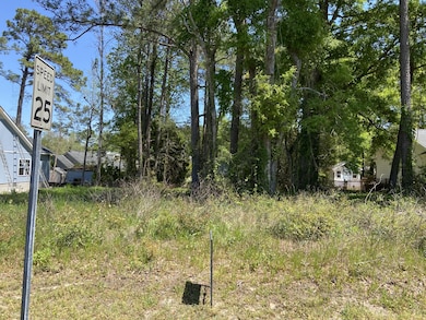 1021 High Point Ave SW, Calabash, NC 28467 - photo 4