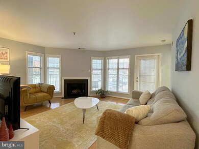 5575 Seminary Rd unit 204, Falls Church, VA 22041 - photo 5