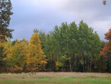 30109 Minerva Dam Rd, Danbury, WI 54830 - photo 6