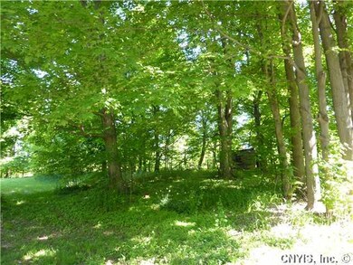 Yard/Garden