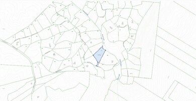 lot 540, topo, mid