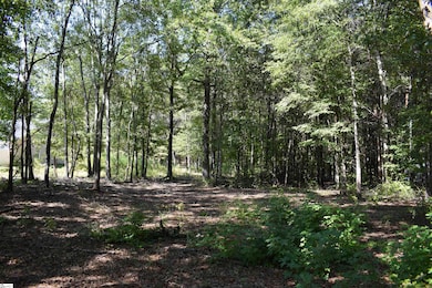 0 Lyman Lodge Rd, Lyman, SC 29365 - photo 4