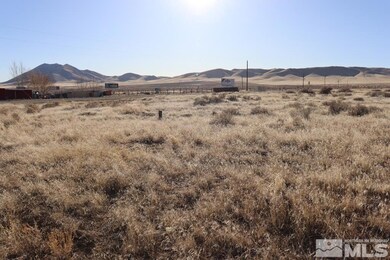 3005 Stagecoach Dr, Winnemucca, NV 89445 - photo 7
