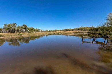 2929 Farm To Market Road 2146, Poteet, TX 78065 - photo 5