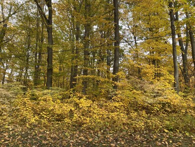 IMG-4527