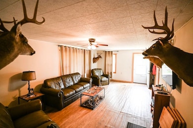 1273 Co Rd A 435, Ava, MO 65608 - photo 6