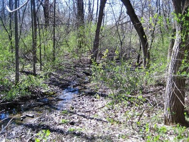 Lot 4 Gold Dr, Fitchburg, WI 53711 - photo 3