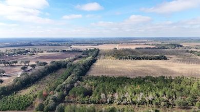 Cox Rd, Quincy, FL 32351 - photo 5