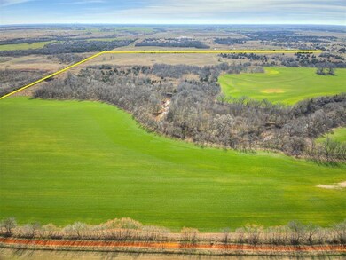 In the NE corner of the farm Looking South