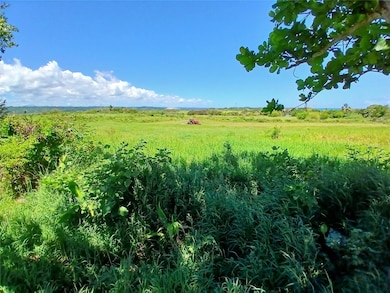 Property to the West