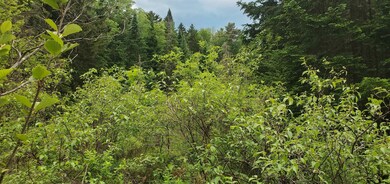 000 Bobbin Mill Rd, Lyman, NH 03585 - photo 3