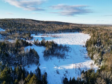 DJI_0046