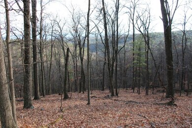 0 Supinlick Ridge Rd unit LotWP001, Mount Jackson, VA 22842 - photo 5