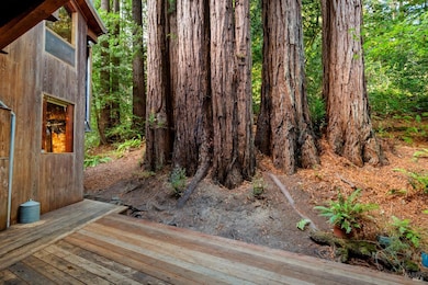 2081 Joy Rd, Occidental, CA 95465 - photo 3