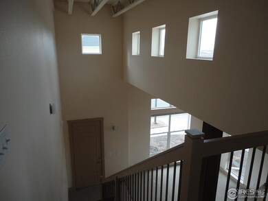 826 Heschel St unit D, Fort Collins, CO 80524 - photo 3