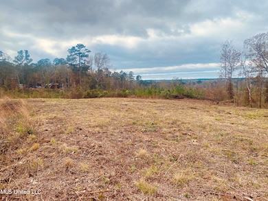 0 Saint Anne Rd, Carthage, MS 39051 - photo 4