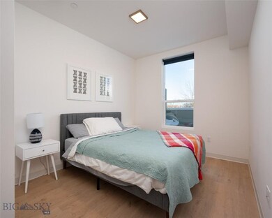 718 W Babcock St unit 204, Bozeman, MT 59715 - photo 5