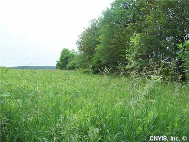 Land Scenic view with trees and meadow