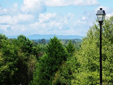 255 Ferguson Dr, Asheville, NC 28806 - photo 3