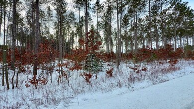 0 County X Rd unit 50318765, Crivitz, WI 54114 - photo 6