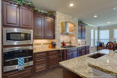 25907 Natal Plum, San Antonio, TX 78261 - photo 6