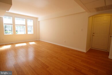 1736 N Queens Ln unit 3189, Arlington, VA 22201 - photo 6