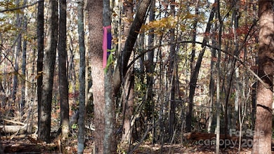 00 Lytle Mountain Rd, Marion, NC 28752 - photo 3