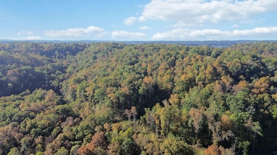 569 Stoneybrook Rd, Burnside, KY 42519 - photo 4