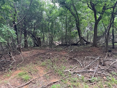 View of wooded area