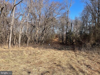 0 Beaver Dam Rd unit MDTA2009964, Trappe, MD 21673 - photo 5