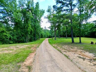 187 County Road 3343, Brundidge, AL 36010 - photo 5