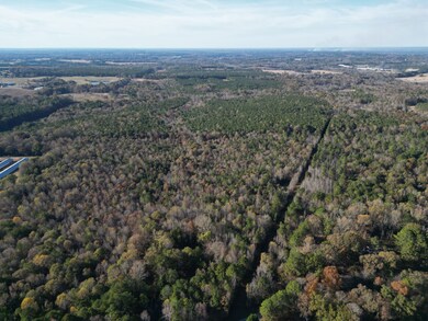 0 Cedar Grove Rd unit 25573750, Buckhead, GA 30625 - photo 4