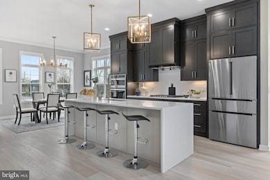 7507 Sawyer Farm Way unit 2001, McLean, VA 22102 - photo 7