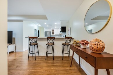 38 Juniper St unit 104, Brookline, MA 02445 - photo 2