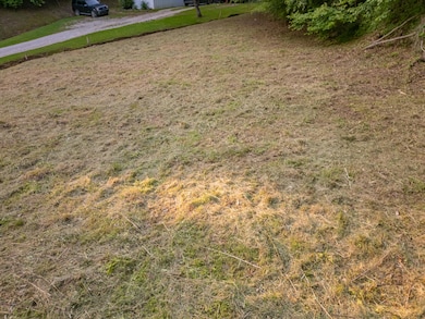 DJI_0309