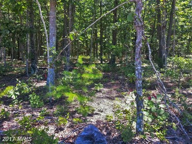 0 Chopping Rd unit 1000547695, Mineral, VA 23117 - photo 2