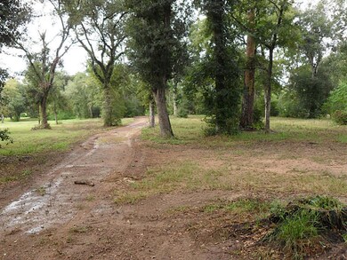 27851 Krezdorn Rd, Hockley, TX 77447 - photo 5