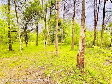 0 Lot B Willow, Lansing, MI 48917 - photo 2