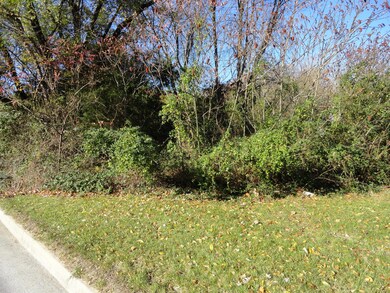 0000 Grafton St, Clifton Forge, VA 24422 - photo 2