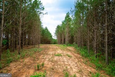 375 Bagley Rd, Forsyth, GA 31029 - photo 2